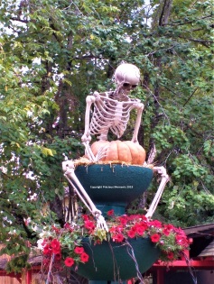 Walibi Halloween decor squelette
